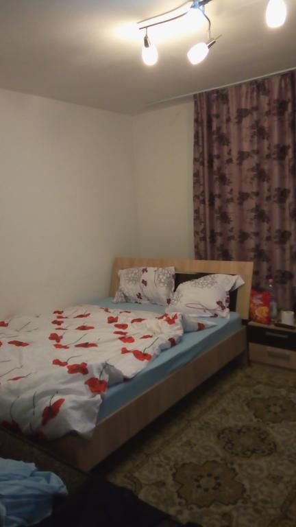 Central Apartment 2 Temesvár Kültér fotó
