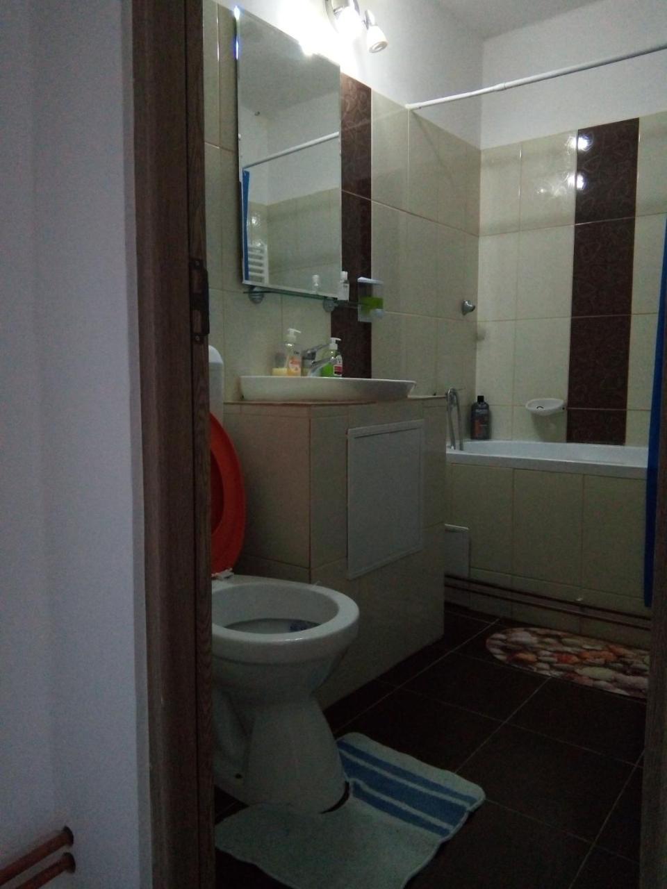 Central Apartment 2 Temesvár Kültér fotó